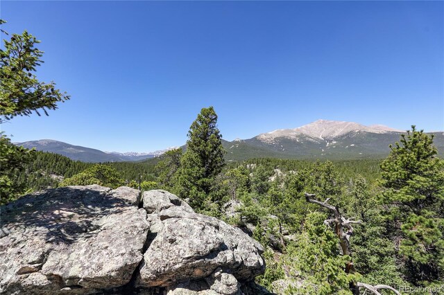 256 Fisk Fenner Rd, Allenspark, CO 80510 - view of mountain background featuring a forest