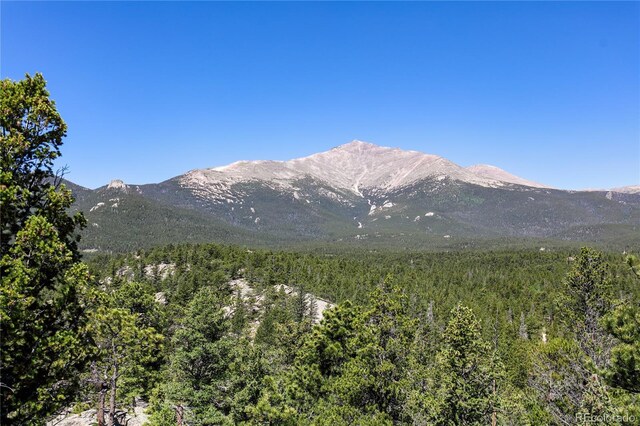 256 Fisk Fenner Rd, Allenspark, CO 80510 - view of mountain background featuring a heavily wooded area