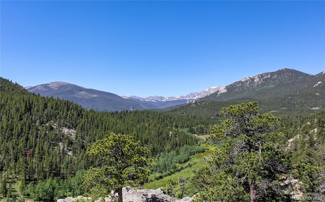 256 Fisk Fenner Rd, Allenspark, CO 80510 - mountain view featuring a heavily wooded area