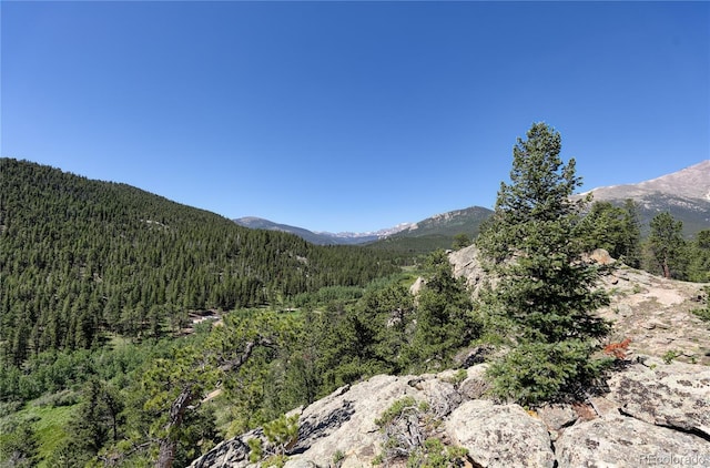 256 Fisk Fenner Rd, Allenspark, CO 80510 - view of mountain background featuring a forest