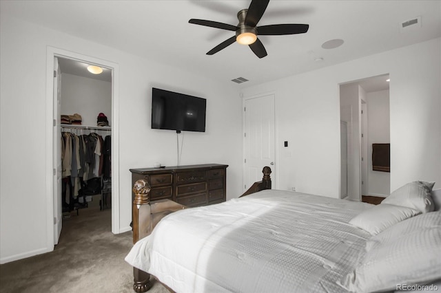 bedroom with a walk in closet, carpet, ceiling fan, and a closet