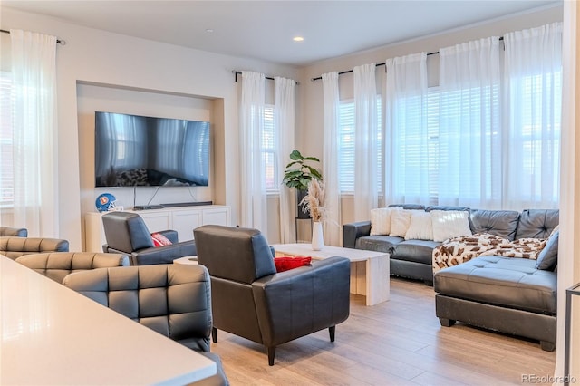 living room with light wood-type flooring