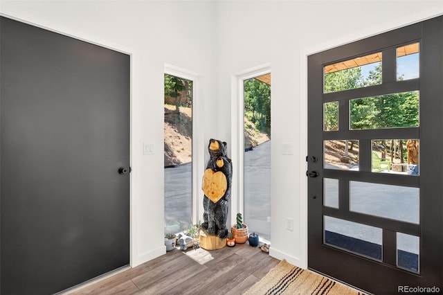 555 Sunrise Peak Rd, Manitou Springs, CO 80829 - foyer entrance featuring wood finished floors and plenty of natural light