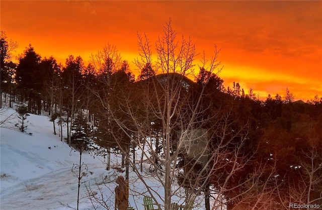 555 Sunrise Peak Rd, Manitou Springs, CO 80829 - snowy view