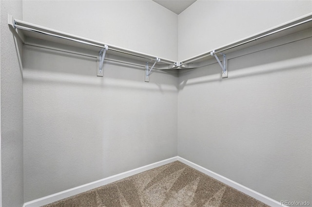 3548 Swabuck Pl, Castle Rock, CO 80109 - spacious closet with carpet