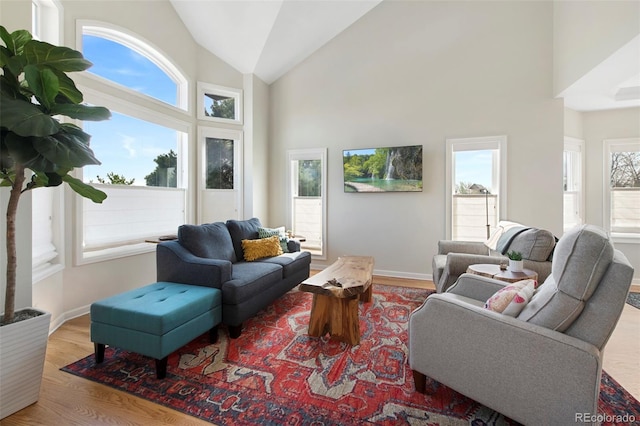 25 Sand Cherry, Littleton, CO 80127 - living area with wood finished floors and high vaulted ceiling