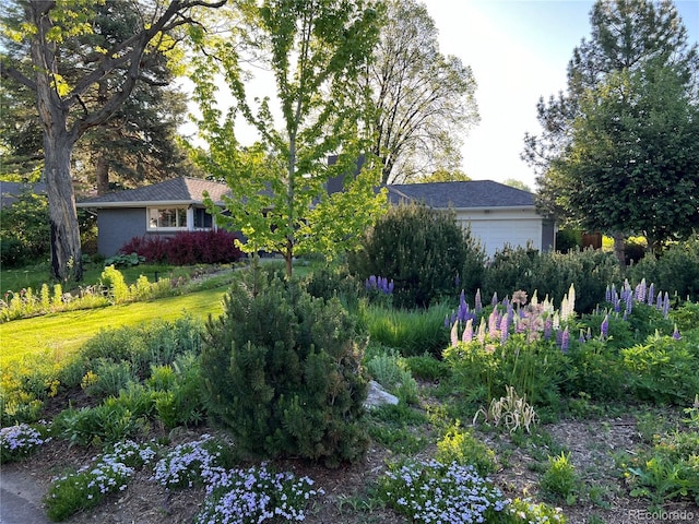 view of yard with a garage