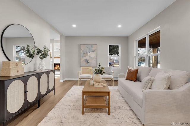 living room featuring light hardwood / wood-style flooring