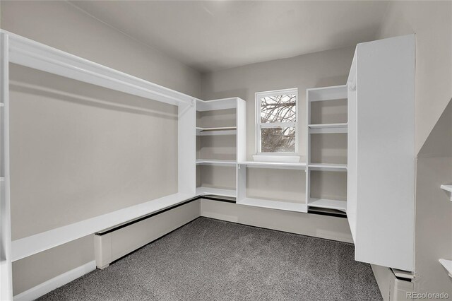 walk in closet with carpet floors