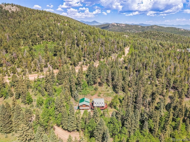 11182 S Barney Gulch Rd, Conifer, CO 80433 - photo 9