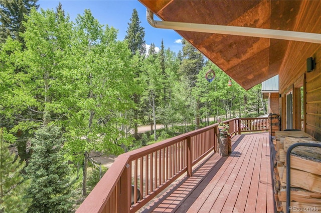 11182 S Barney Gulch Rd, Conifer, CO 80433 - photo 18