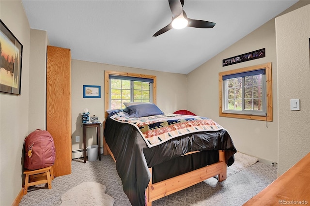 11182 S Barney Gulch Rd, Conifer, CO 80433 - photo 23