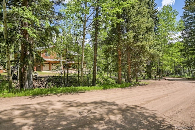 11182 S Barney Gulch Rd, Conifer, CO 80433 - photo 42