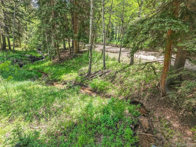 11182 S Barney Gulch Rd, Conifer, CO 80433 - photo 44
