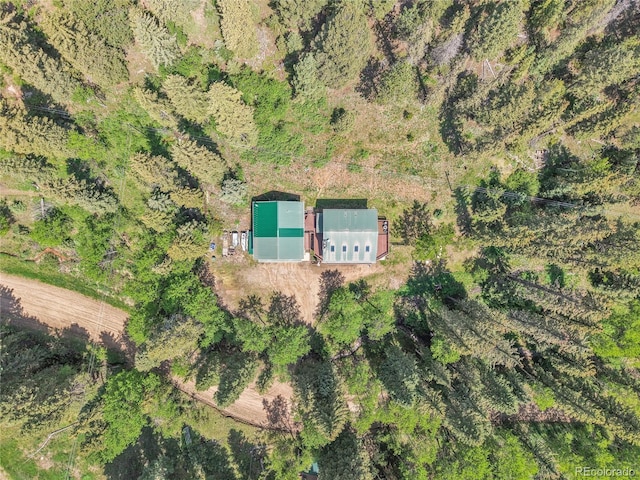11182 S Barney Gulch Rd, Conifer, CO 80433 - photo 46