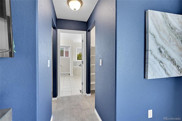 3406 Purcell St, Brighton, CO 80601 - corridor featuring a textured wall, carpet flooring, baseboards, and tile patterned flooring