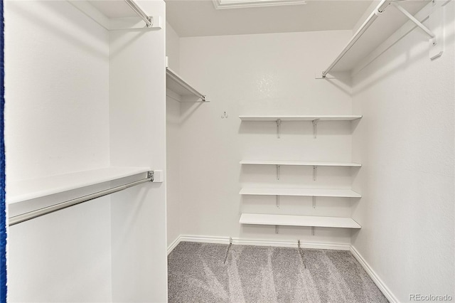 3406 Purcell St, Brighton, CO 80601 - spacious closet featuring carpet
