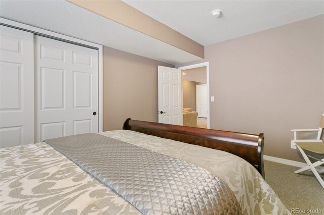 7446 Centennial Glen Dr, Colorado Springs, CO 80919 - photo 32