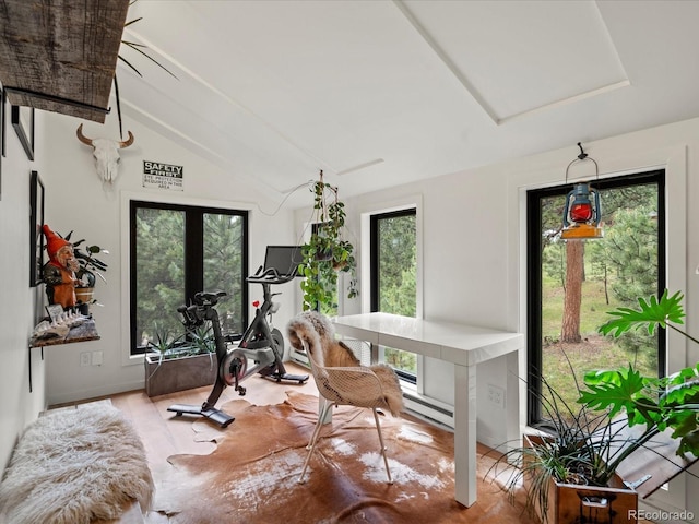 28833 Western Dr, Evergreen, CO 80439 - workout area with vaulted ceiling