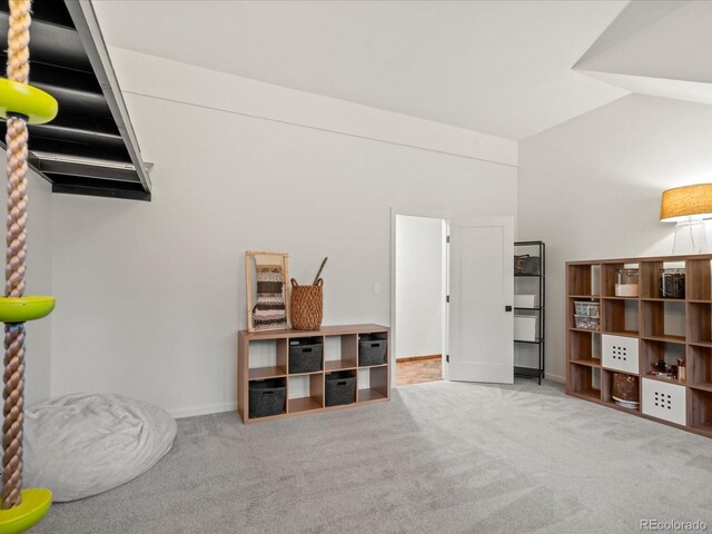 28833 Western Dr, Evergreen, CO 80439 - misc room with carpet and lofted ceiling