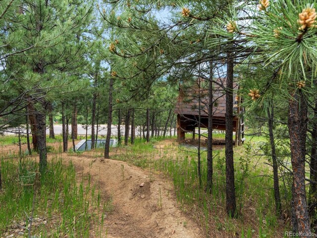 28833 Western Dr, Evergreen, CO 80439 - view of road