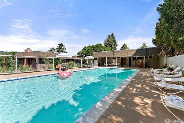 view of pool featuring a diving board and a patio area