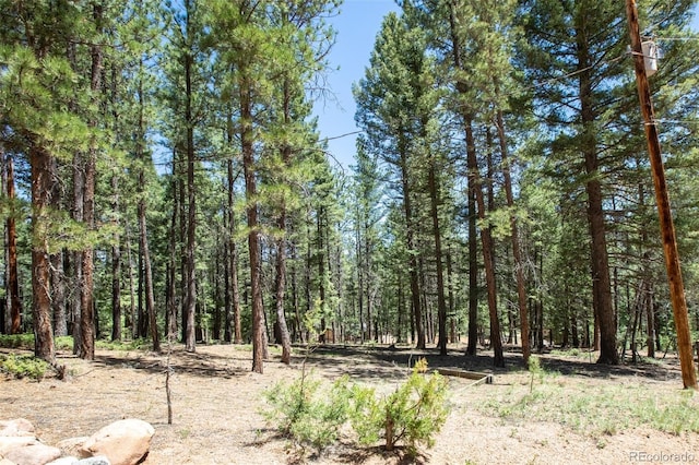 view of nature featuring a view of trees