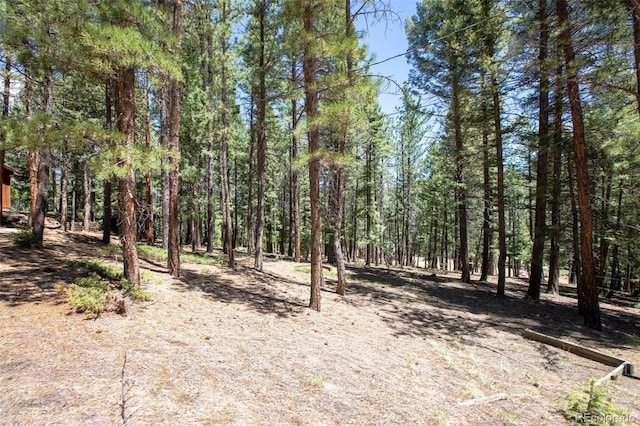 view of nature featuring a wooded view