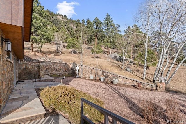 view of yard featuring a patio area