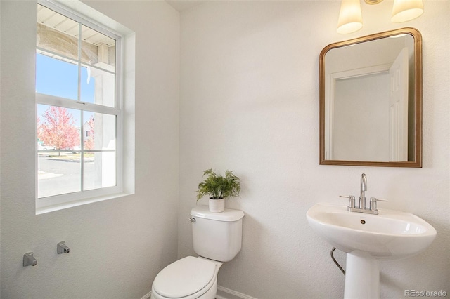 bathroom featuring sink and toilet