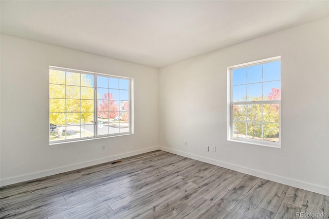 empty room featuring a wealth of natural light and light wood-type flooring