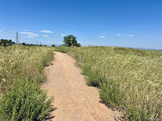 5554 Crystal Way, Denver, CO 80239 - view of road