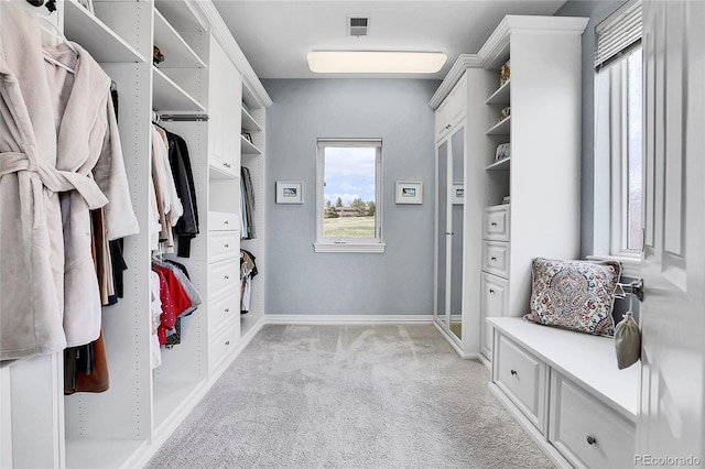mudroom featuring plenty of natural light, light colored carpet, and baseboards