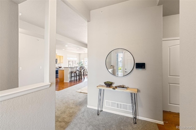 2975 Denver Dr, Fort Collins, CO 80525 - hallway with carpet and baseboards
