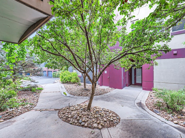 2501 15th St Unit 3D, Denver, CO 80211 - view of yard