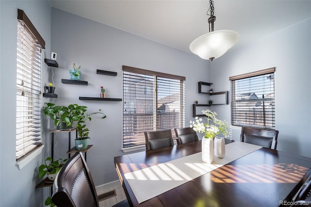 dining room featuring a wealth of natural light