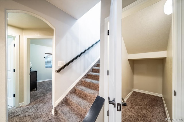 staircase with carpet