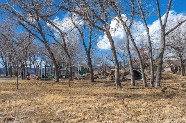 view of yard featuring playground community