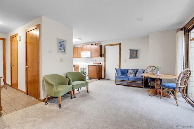 4863 Silver Spruce Ln, Evergreen, CO 80439 - living area with light carpet