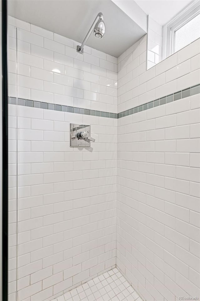 260 S Jasmine St, Denver, CO 80224 - full bath featuring a tile shower