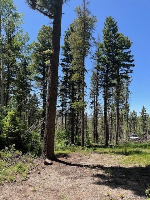 LOT2449 Petito Dr, Fort Garland, CO 81133 - photo 1