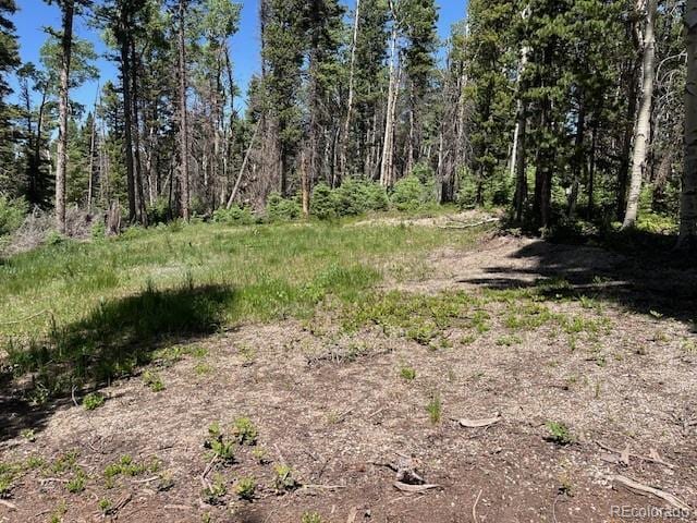 LOT2449 Petito Dr, Fort Garland, CO 81133 - photo 3
