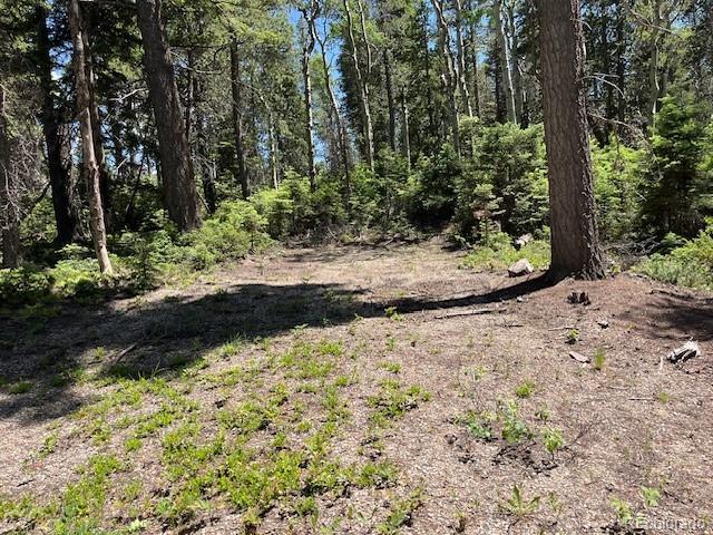 LOT2449 Petito Dr, Fort Garland, CO 81133 - photo 4