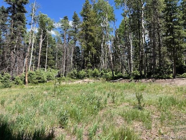LOT2449 Petito Dr, Fort Garland, CO 81133 - photo 5