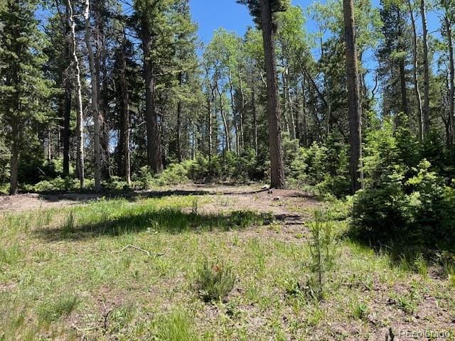 LOT2449 Petito Dr, Fort Garland, CO 81133 - photo 6