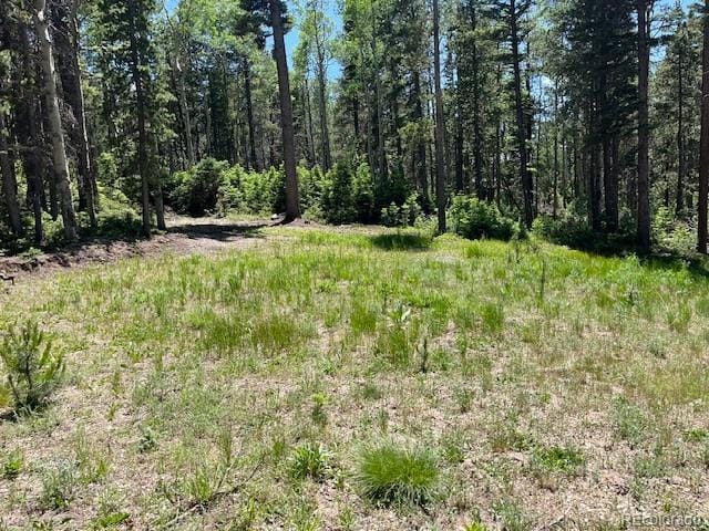 LOT2449 Petito Dr, Fort Garland, CO 81133 - photo 7