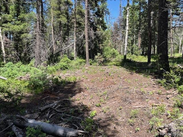 LOT2449 Petito Dr, Fort Garland, CO 81133 - photo 8