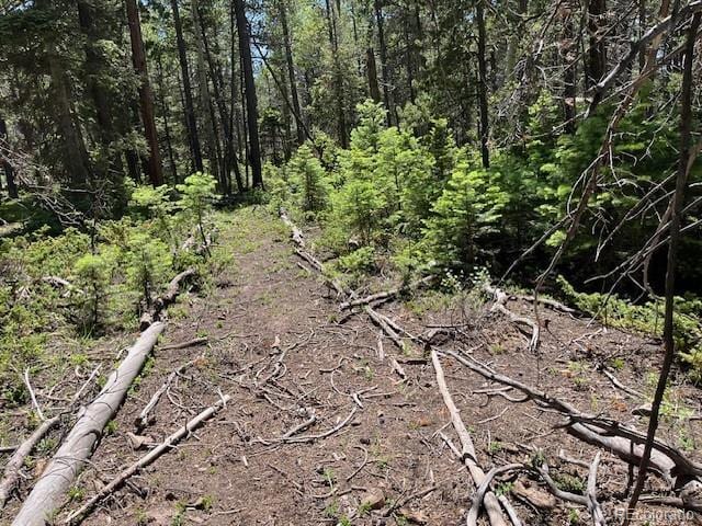 LOT2449 Petito Dr, Fort Garland, CO 81133 - photo 9
