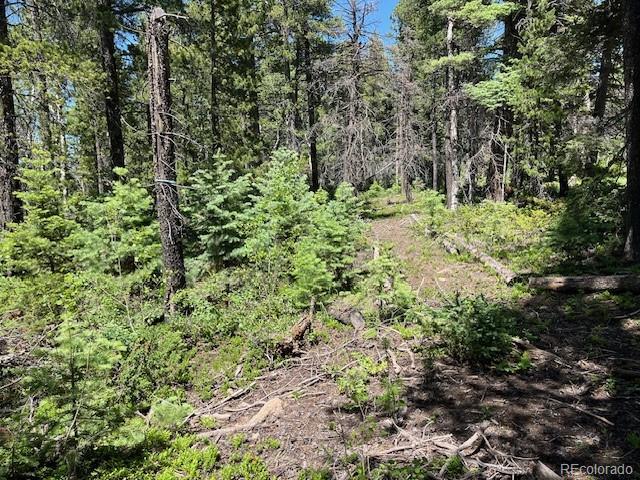 LOT2449 Petito Dr, Fort Garland, CO 81133 - photo 10