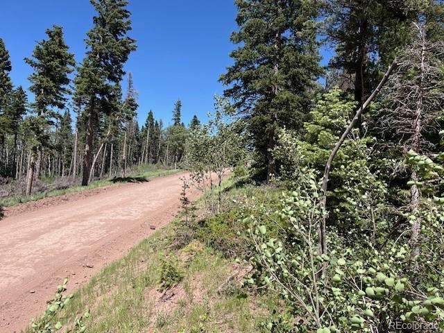 LOT2449 Petito Dr, Fort Garland, CO 81133 - photo 11